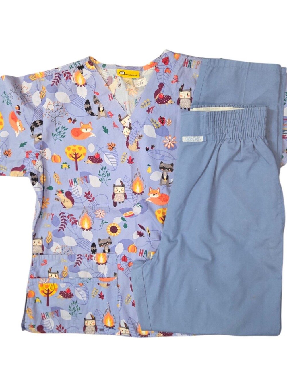 Animal Scrub Set